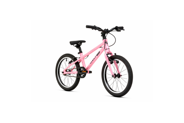 Teddy 16" rose